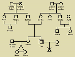 family-genogram.jpg